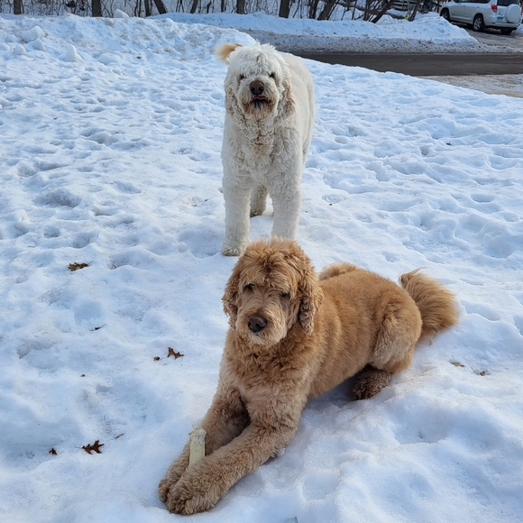 Meet your Posher, Nicole - Picture 2 of 2